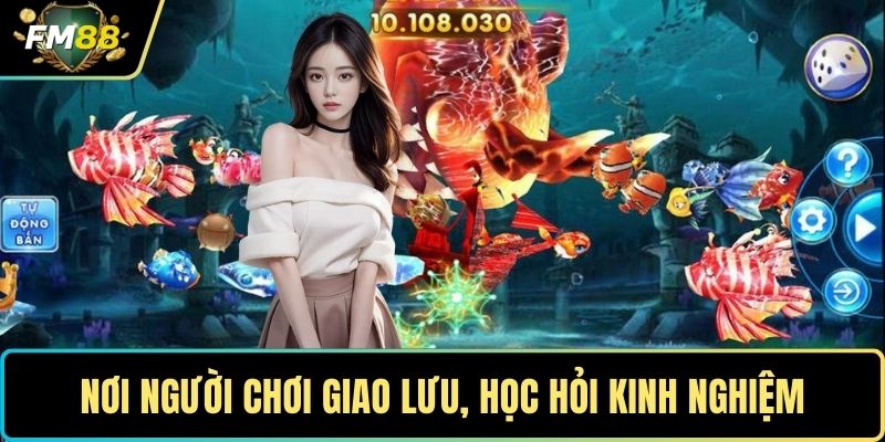 Bắn Cá Xèng – Khám Phá Đại Dương Và Săn Thưởng Cực Khủng 5 Nơi người chơi giao lưu, học hỏi kinh nghiệm