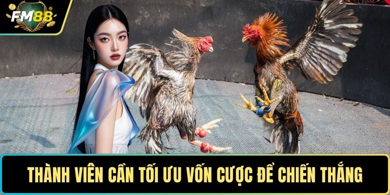 Đá Gà FM88 – Sân Chơi Lôi Cuốn Cho Người Yêu Gà Chọi 4 Thành viên cần tối ưu vốn cược để chiến thắng