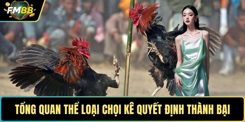 Đá Gà FM88 – Sân Chơi Lôi Cuốn Cho Người Yêu Gà Chọi 3 Tổng quan thể loại chọi kê quyết định thành bại